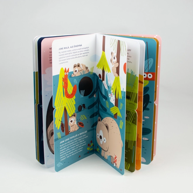 Ababu Libro a fisarmonica Ababūk