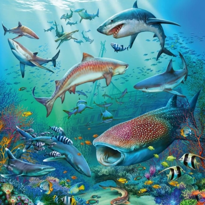 Ravensburger puzzle vita oceanica