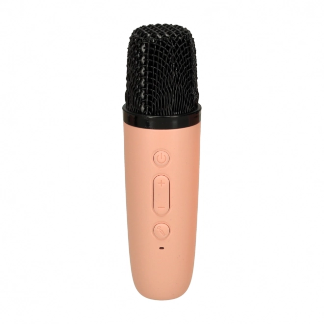 Set Karaoke con Microfono e Altoparlante Portatile Bluetooth USB LED Rosa