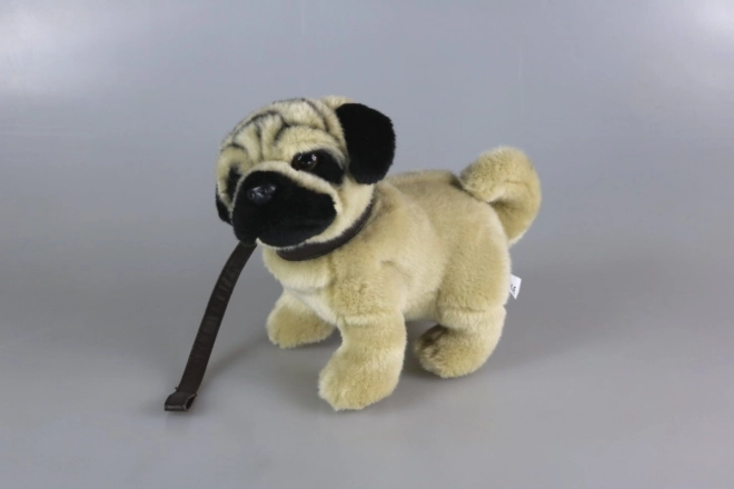 Cane Carlino Peluche 25 cm con Collare Eco-Friendly