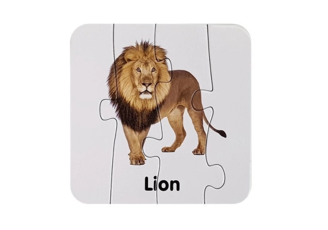 Illustrazioni realistiche di animali selvatici
