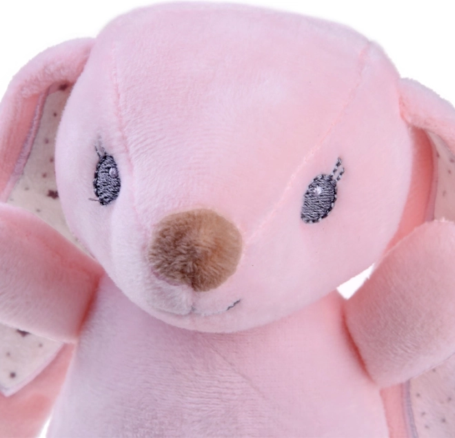 Morbido peluche e design adorabile