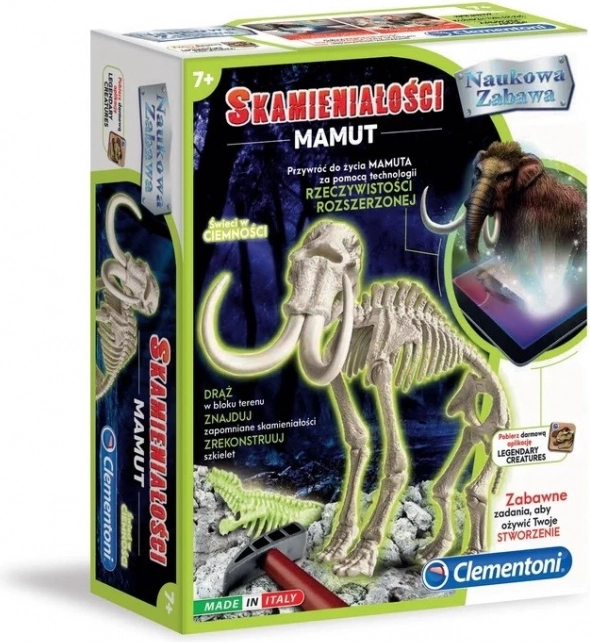 Set didattico sulle fossilizzazioni dei mammut
