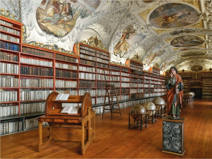 Magnifico motivo di biblioteca storica
