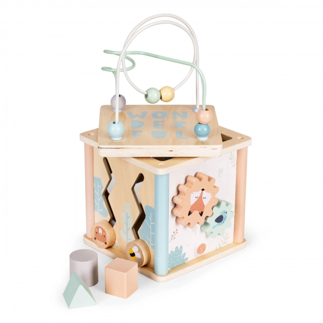 Cubo educativo in legno Ecotoys