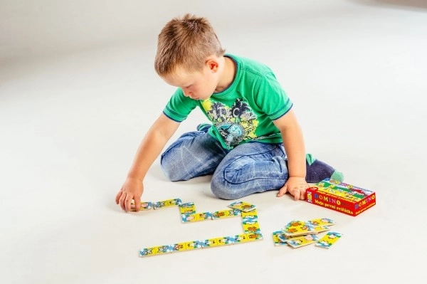 Domino animali in legno - il mio primo gioco