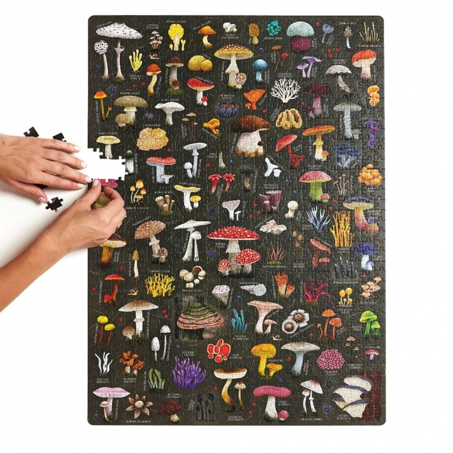 Puzzle Puzzlove Funghi 1000 pezzi