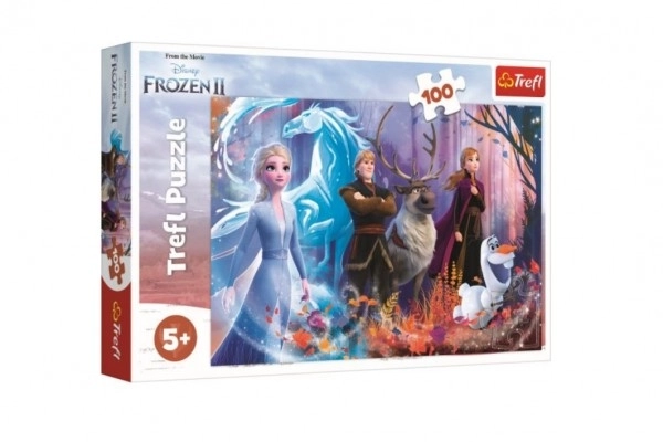 Puzzle Frozen 2: Magia dell'Inverno 100 Pezzi