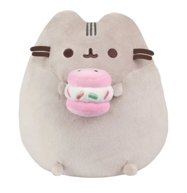 Design adorabile di Pusheen con macaron