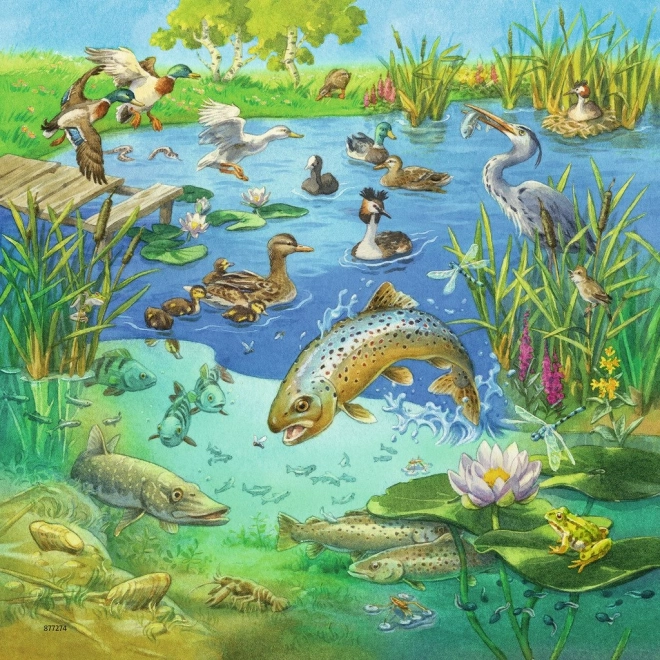 Ravensburger puzzle Animali nelle loro case 3x49 pezzi