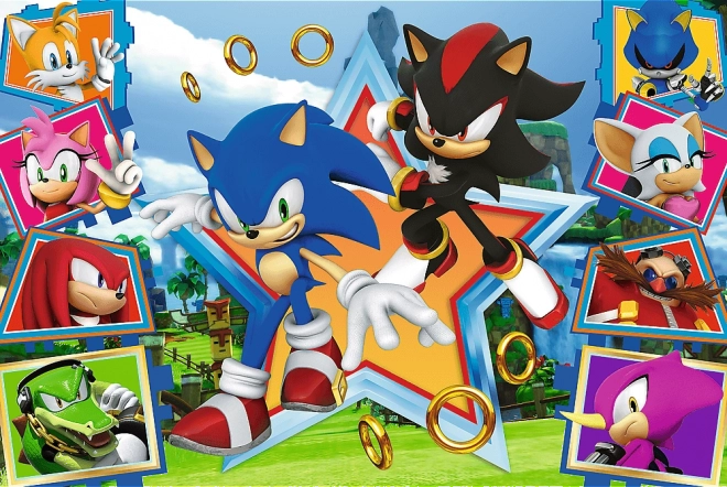 Puzzle 100 pezzi Scopri Sonic