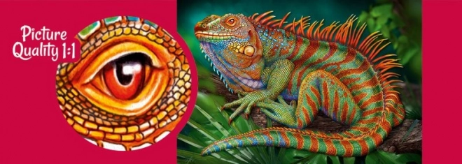 Puzzle Iguana Incredibile 500 Pezzi