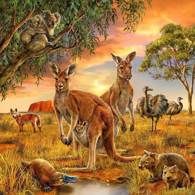 Puzzle Animali 3x49 pezzi RAVENSBURGER