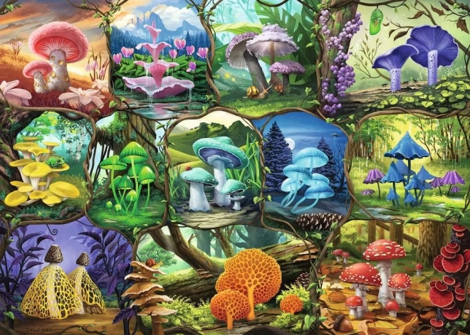 Puzzle Funghi Meravigliosi 1000 Pezzi