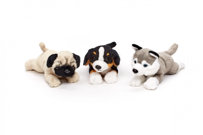 Cane di peluche sdraiato 19 cm