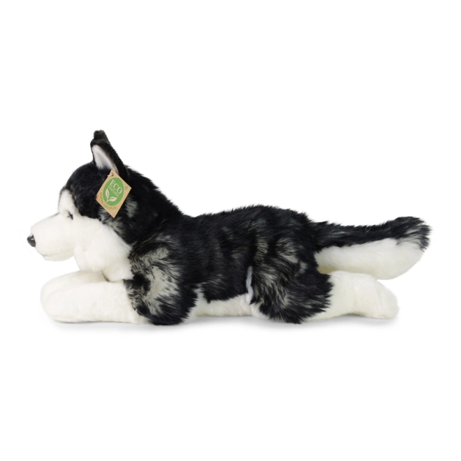 Peluche Cane Husky 36 cm Eco-Friendly