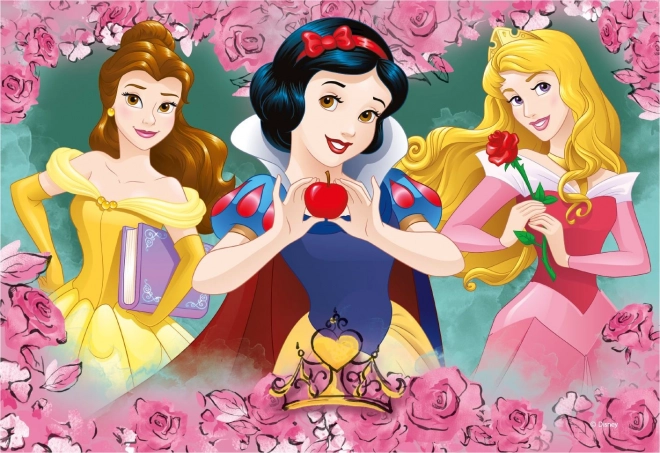 Puzzle Principesse Disney nei roseti 2x77 pezzi