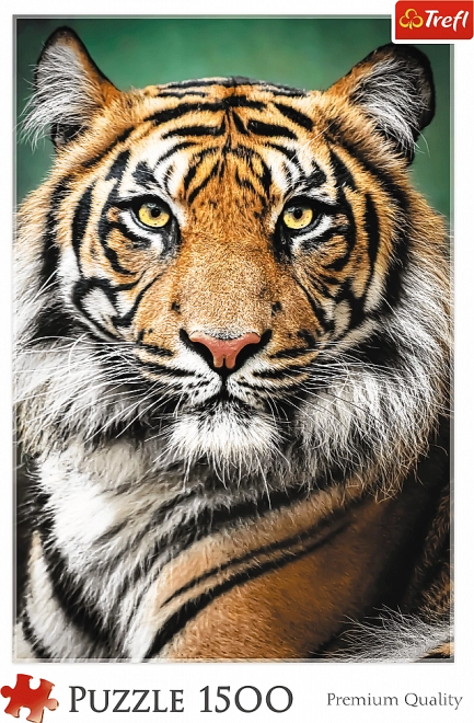 Puzzle Ritratto di Tigre 1500 pezzi