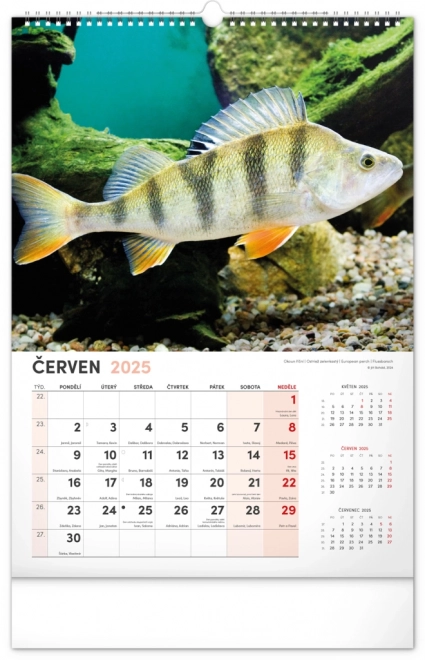 Calendario da Parete da Pesca 2025