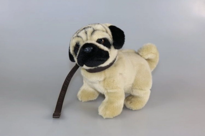 Cane Carlino Peluche 25 cm con Collare Eco-Friendly