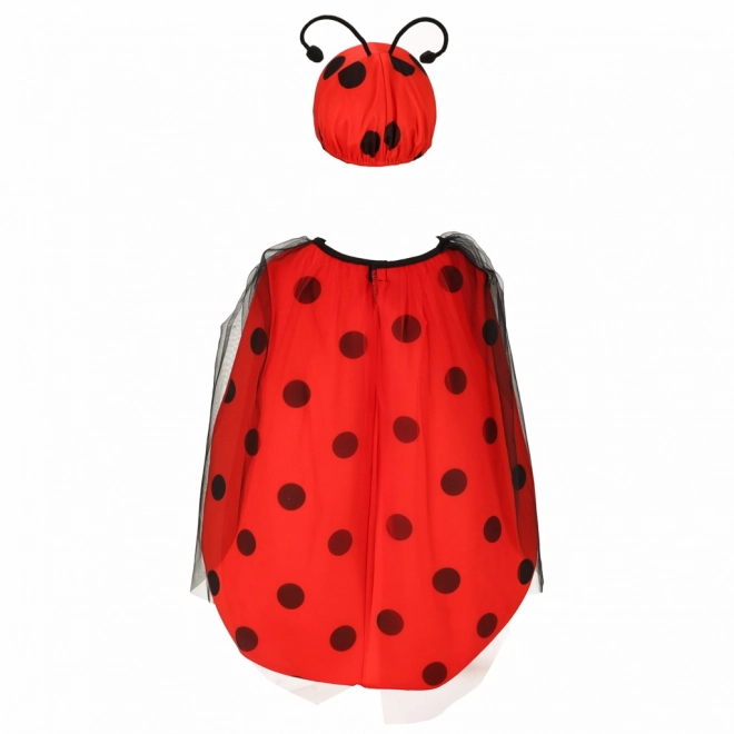 Costume di carnevale Coccinella