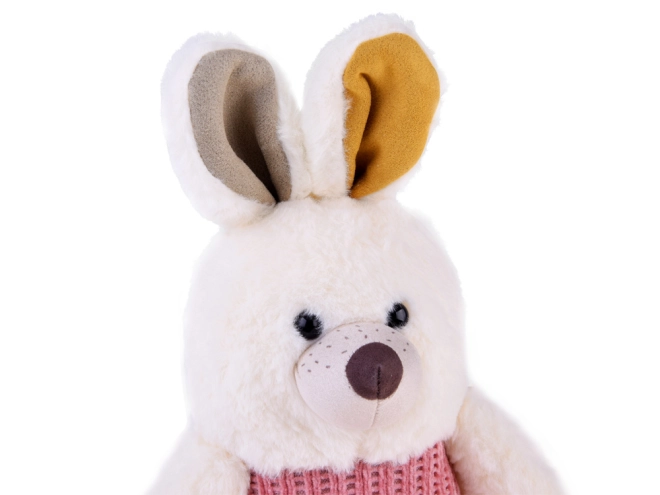 Aspetto carino