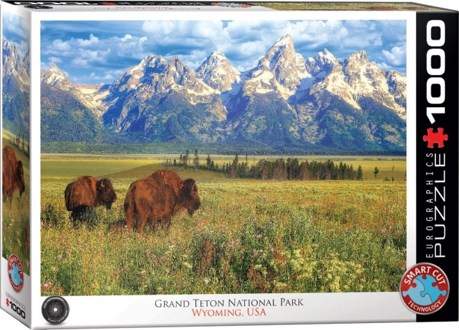 Puzzle Parco nazionale di Grand Teton 1000 pezzi