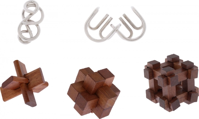Set di 5 rompicapi Great Minds di Professor Puzzle