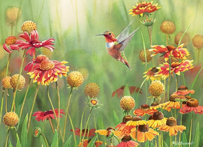 Puzzle Colibrì 500 Pezzi COBBLE HILL