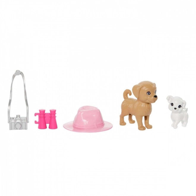 Set Bambole Barbie e Stacie con Cagnolini