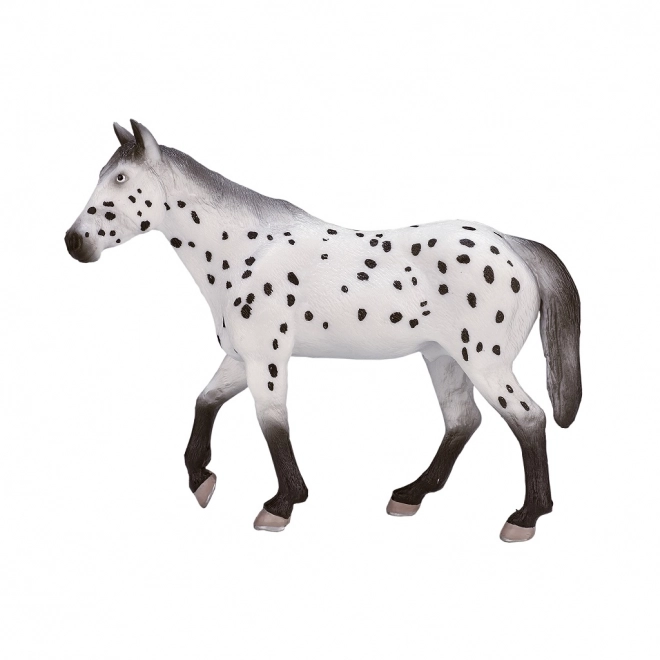 Stallone Appaloosa Mojo