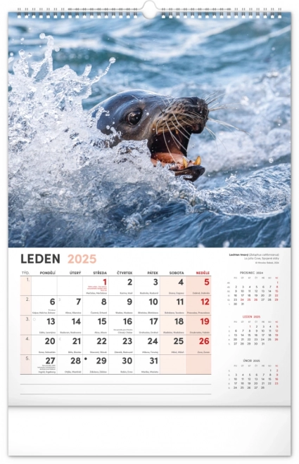 Notique calendario da parete animali affascinanti 2025