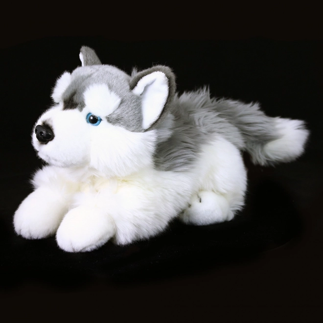 Cane Husky di Peluche Eco-Friendly