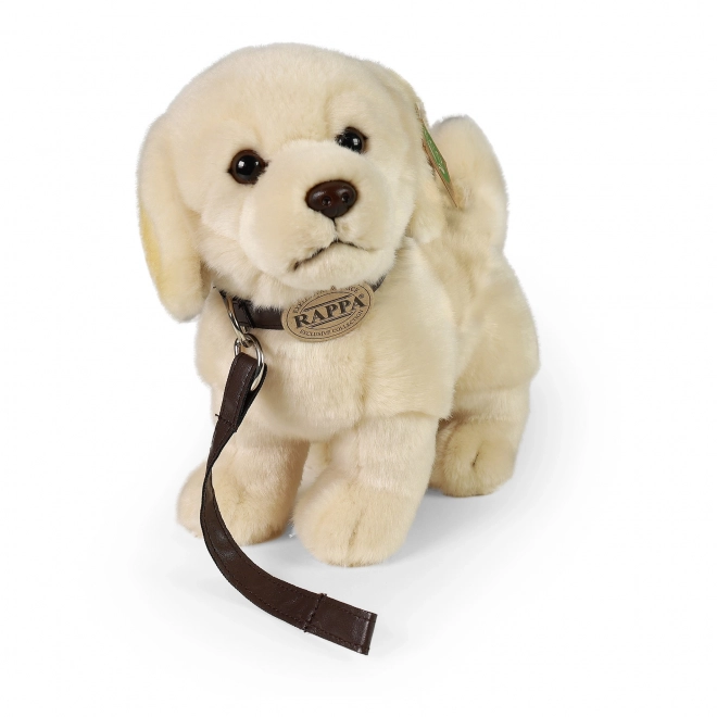 Peluche cane Golden Retriever con guinzaglio