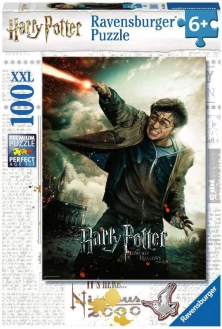 Puzzle Harry Potter 100 pezzi