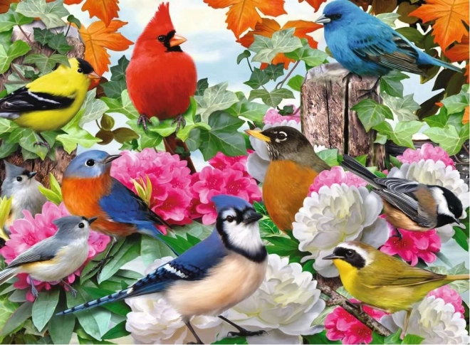 Puzzle Giardino degli Uccelli Ravensburger 500 Pezzi