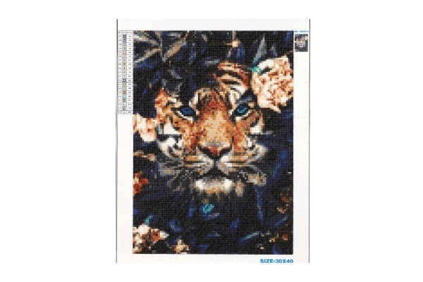 Pittura Diamante Tigre Nascosto 30x40 cm