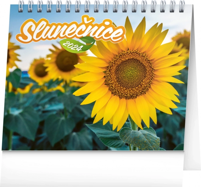 Calendario da tavolo Girasole con citazioni 2024