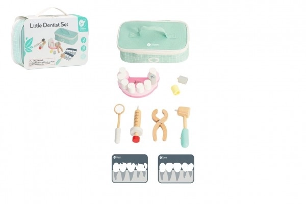 Set da dentista in legno 18 pezzi con borsa in tessuto