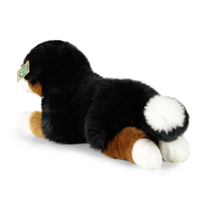 Cane da montagna bernese ecologico in peluche 44 cm