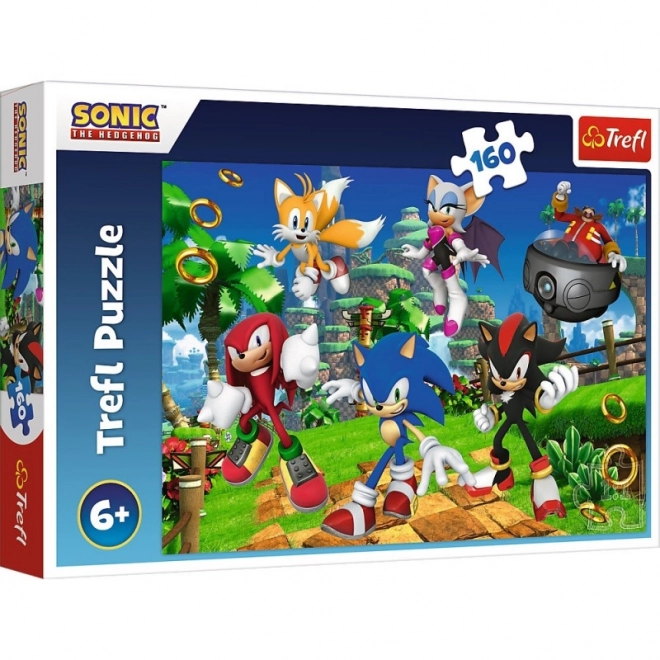 Puzzle 160 pezzi Sonic e amici