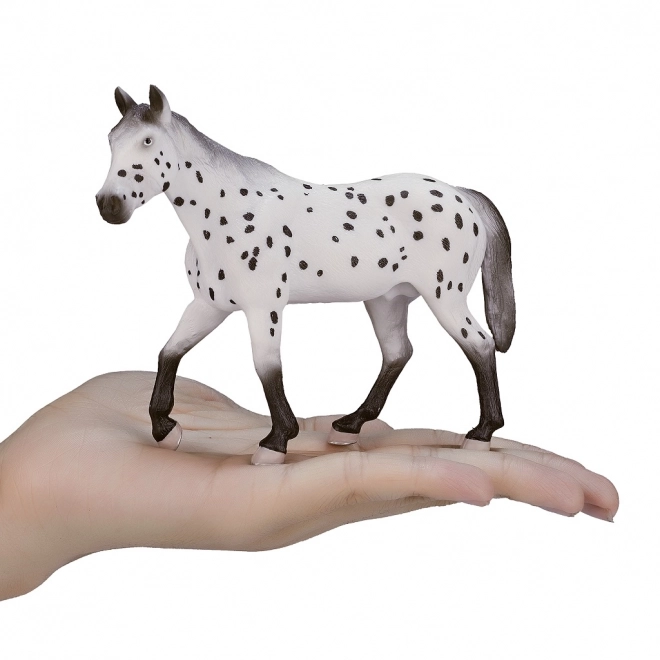 Stallone Appaloosa Mojo