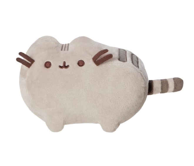 Design Pusheen adorabile