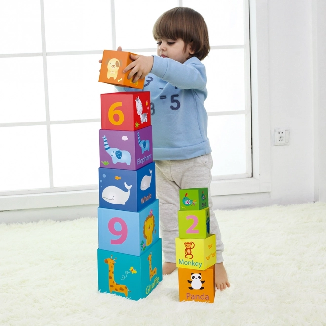 Torre a incastro puzzle scatola dei blocchi da Classic World