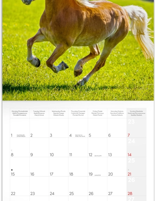 Calendario Illustrato Cavalli Christiane Slawik 2026
