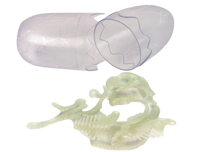 Anatomia dettagliata