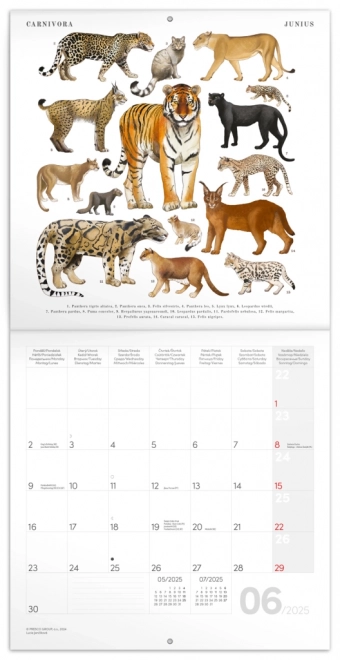 Calendario Notique Animalium 2025