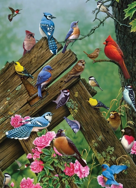 Puzzle Uccelli del Bosco 1000 Pezzi Cobble Hill