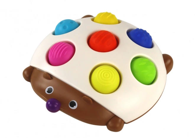 Tavola divertente sensoriale riccio Montessori