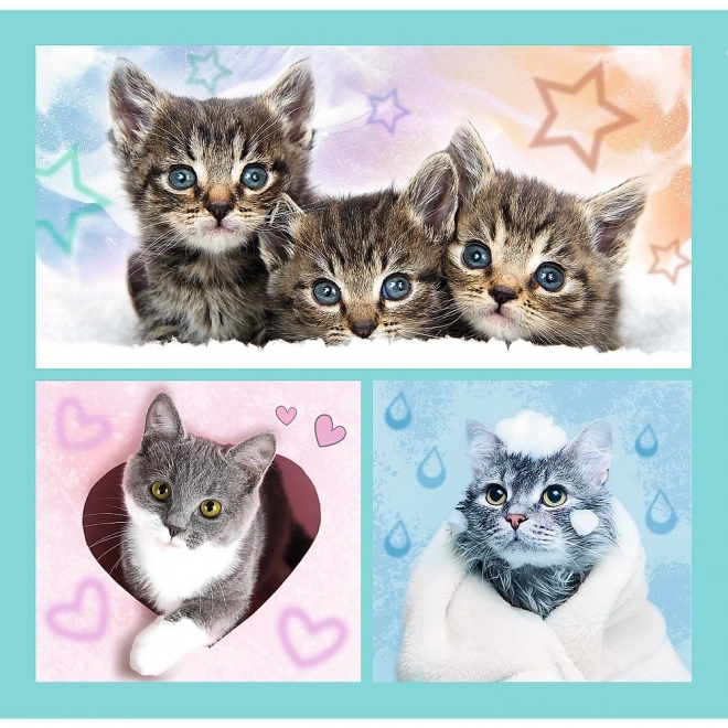 Puzzle dolci gattini